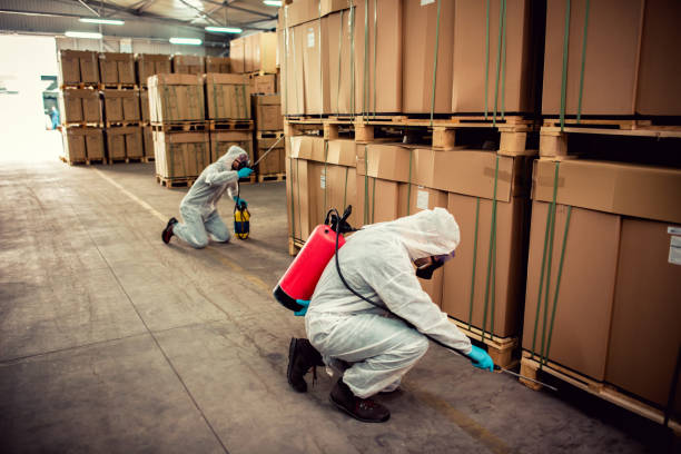 Best Mosquito Control Services  in Muniz, TX