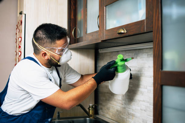 Best Flea Control Services  in Muniz, TX