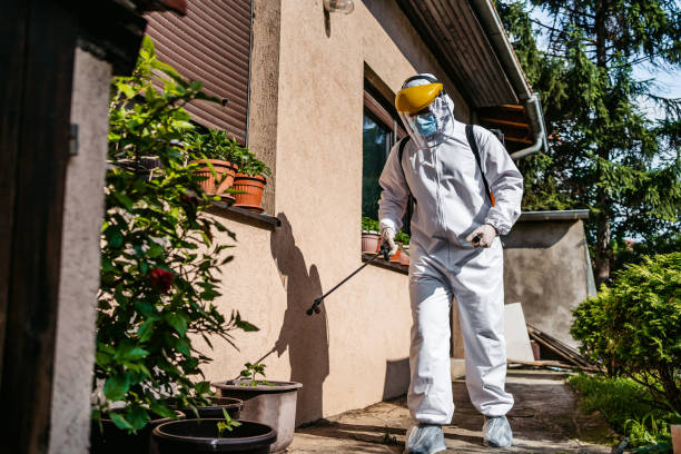 Best Wasp Removal Services  in Muniz, TX