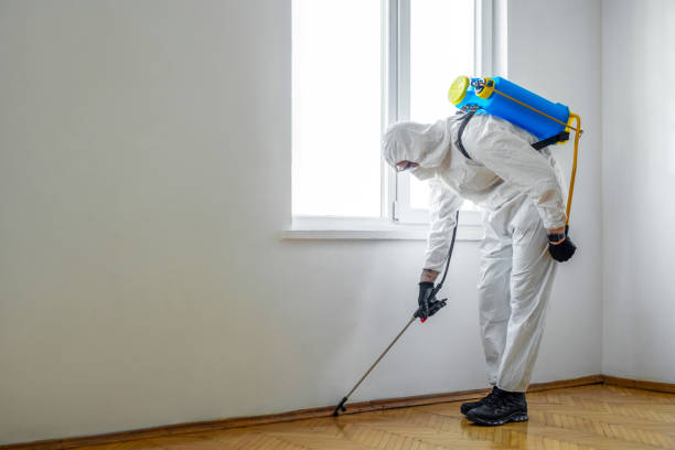 Best Bed Bug Extermination  in Muniz, TX