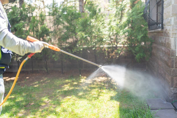 Best Bed Bug Extermination  in Muniz, TX