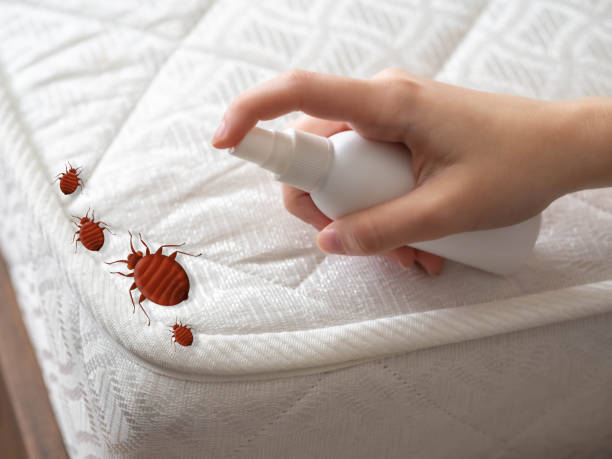 Best Best Pest Control Companies  in Muniz, TX