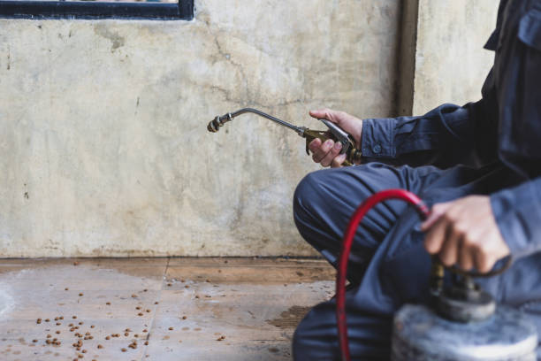 Best Cockroach Control Services  in Muniz, TX