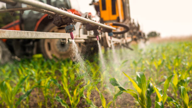 Best Commercial Pest Control Services  in Muniz, TX