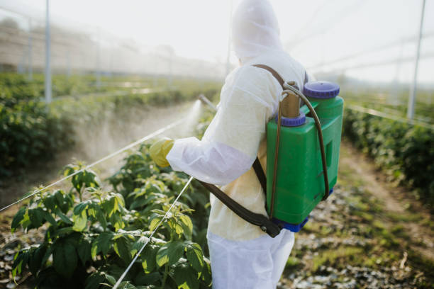 Best Emergency Pest Control  in Muniz, TX